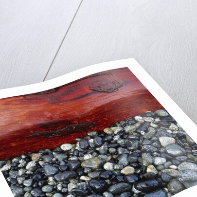 Log on Pebbles by Anonymous