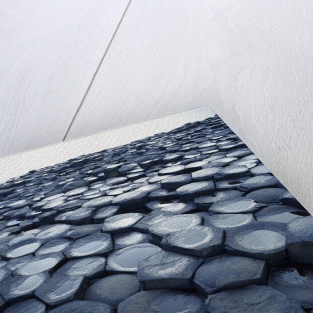 Basalt Columns by Anonymous
