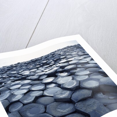 Basalt Columns by Anonymous