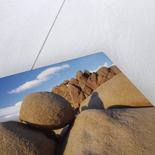Rock Formation in Joshua Tree National Park by Anonymous