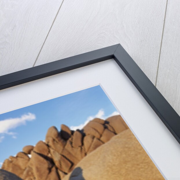 Rock Formation in Joshua Tree National Park by Anonymous