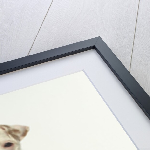 White Puppy with Brown Eye Patch by Anonymous