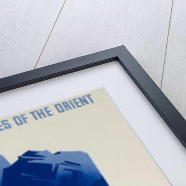 Danube Steam Navigation Company Poster by Hanns Wagula