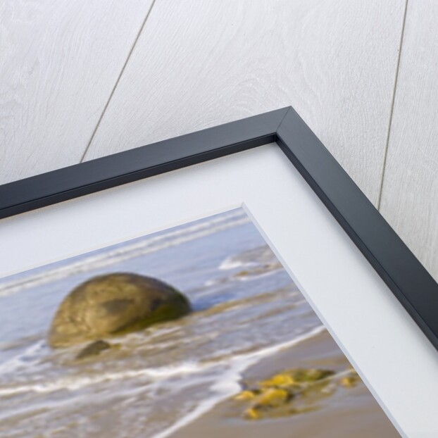 Large Moeraki Boulders on Koekoche Beach by Anonymous