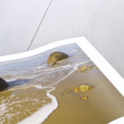 Large Moeraki Boulders on Koekoche Beach by Anonymous