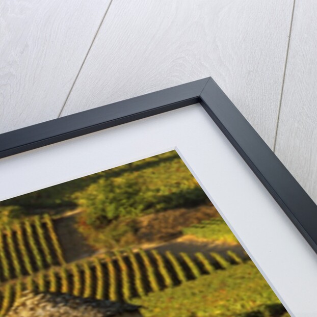 Round Stone Shelter in Vineyard by Anonymous