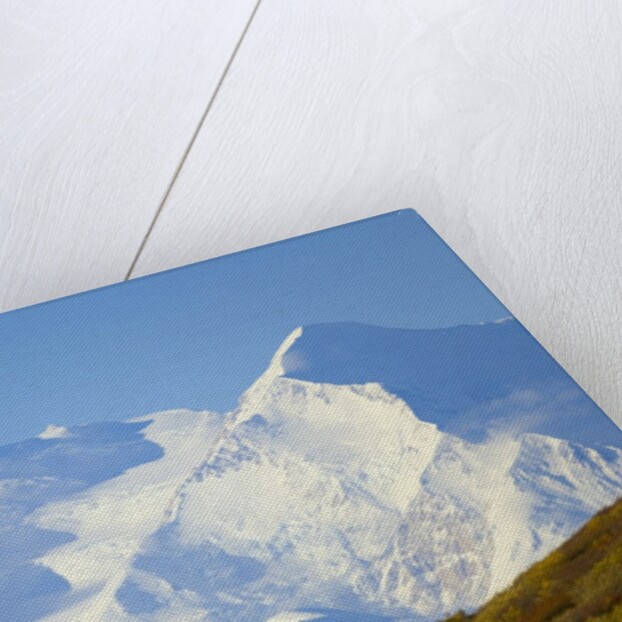 Mt. McKinley on Sunny Day by Anonymous