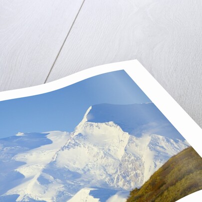 Mt. McKinley on Sunny Day by Anonymous