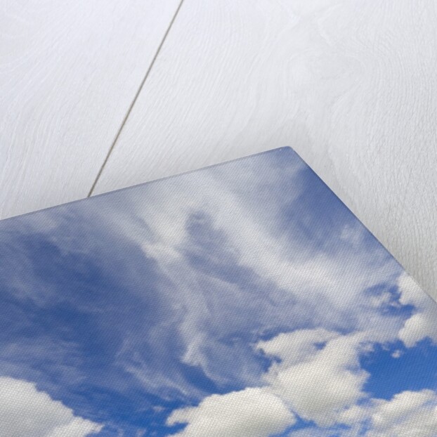 Empty Alaska Highway in Canada by Anonymous