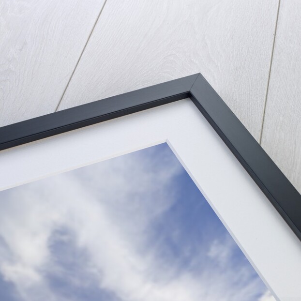 Empty Alaska Highway in Canada by Anonymous