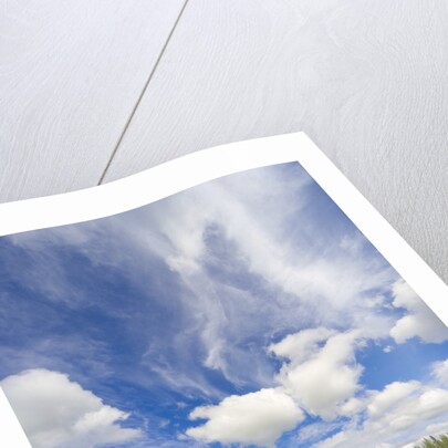 Empty Alaska Highway in Canada by Anonymous