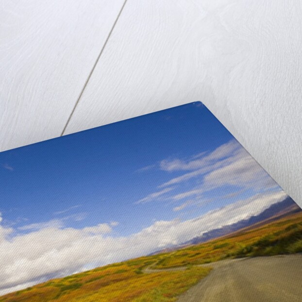Clouds Above Autumn Tundra and Gravel Road in Alaska by Anonymous