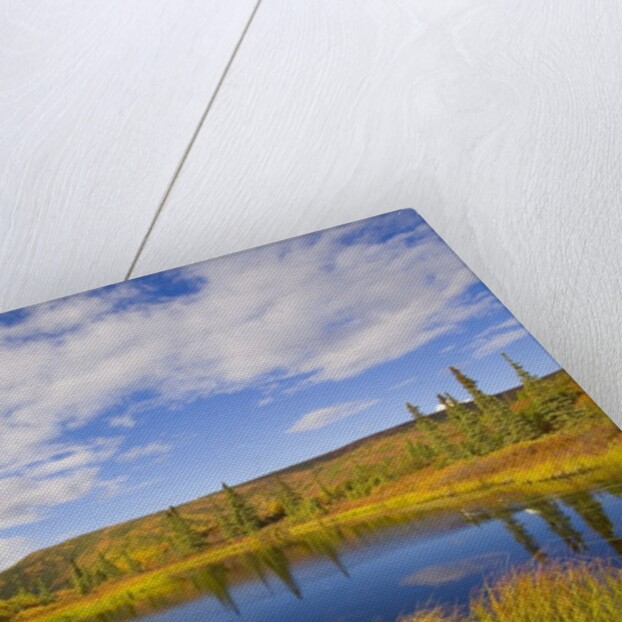 Cumulus Clouds Above Fall Tundra by Anonymous