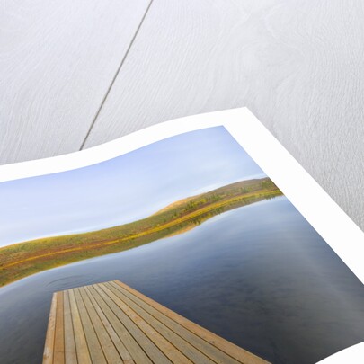 Floating Wooden Dock on Alaskan Lake by Anonymous