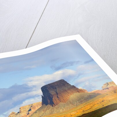 Tower Butte and Wild Horse Mesa by Anonymous