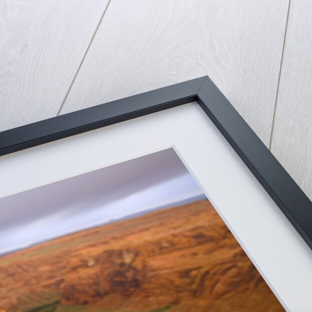 Horseshoe Bend on Colorado River by Anonymous