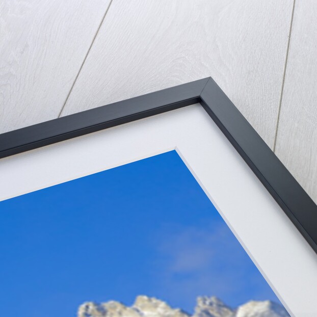 Grand Teton Range by Anonymous