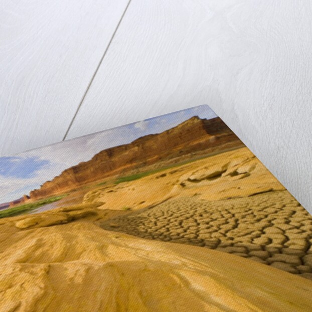 Sandstone Formation and Cracked Silt Deposits by Anonymous