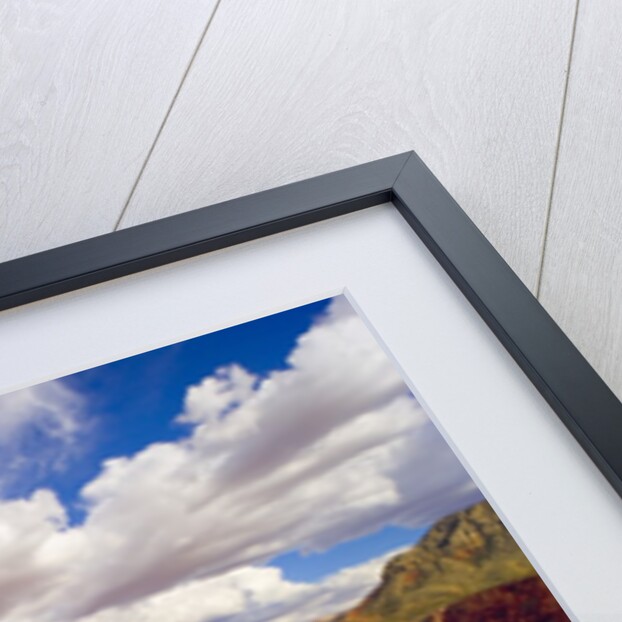 Grand Canyon and Colorado River by Anonymous