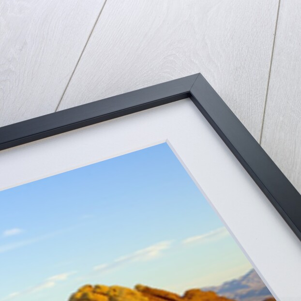 Sandstone Hills in Valley of Fire by Anonymous
