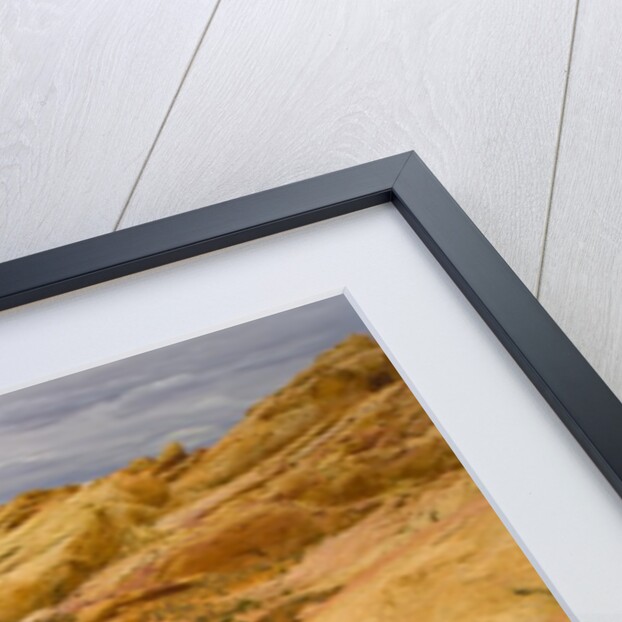 Sandstone Formations in Valley of Fire by Anonymous