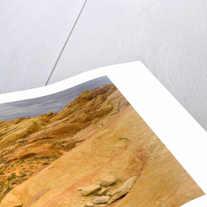 Sandstone Formations in Valley of Fire by Anonymous