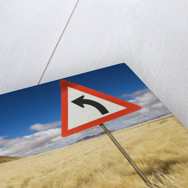Traffic Sign on Overgrown Road by Anonymous