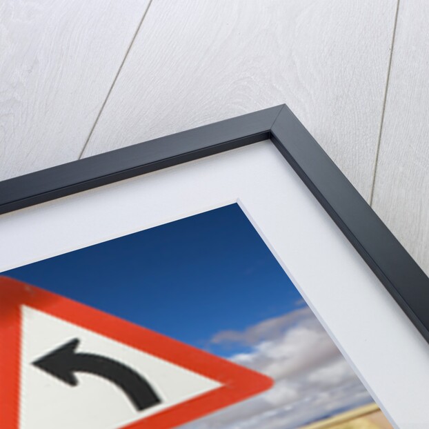 Traffic Sign on Overgrown Road by Anonymous