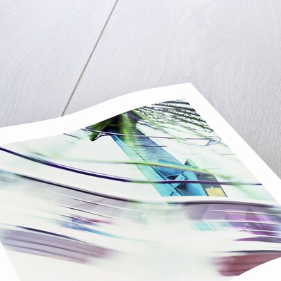 Spinning Amusement Ride at a County Fair by David Roseburg