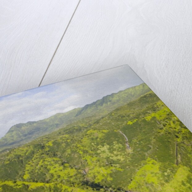 Aerial View of Waterfall in Waimea Canyon by Anonymous