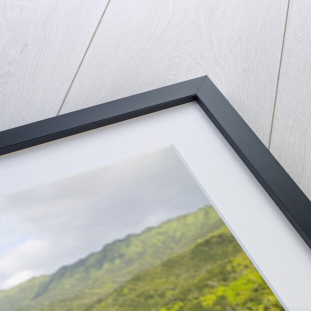Aerial View of Waterfall in Waimea Canyon by Anonymous