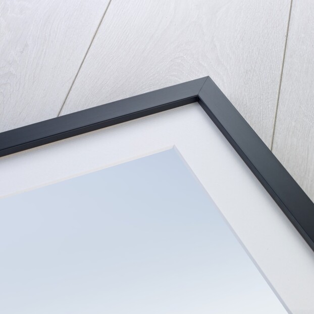 Oak Tree in Meadow by Anonymous