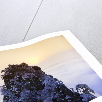Mountain Peaks Above Clouds by Anonymous