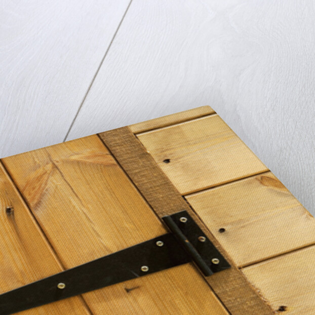 Door Hinge on Shed by Anonymous
