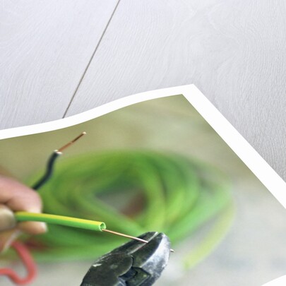 Electrician Stripping Electrical Wire by Anonymous
