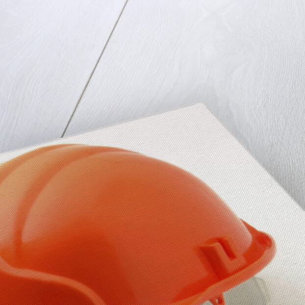 Hard Hat by Anonymous
