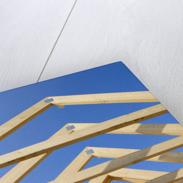 Construction Frame by Anonymous