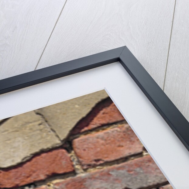 Brick Wall Part Covered By Plaster by Anonymous