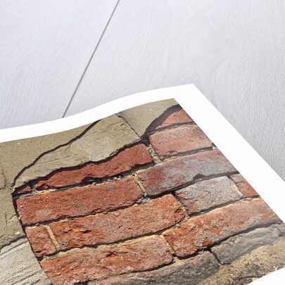 Brick Wall Part Covered By Plaster by Anonymous