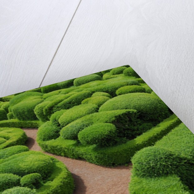 Topiary Garden at Chateau de Marqueyssac by Anonymous