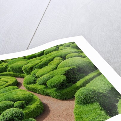 Topiary Garden at Chateau de Marqueyssac by Anonymous