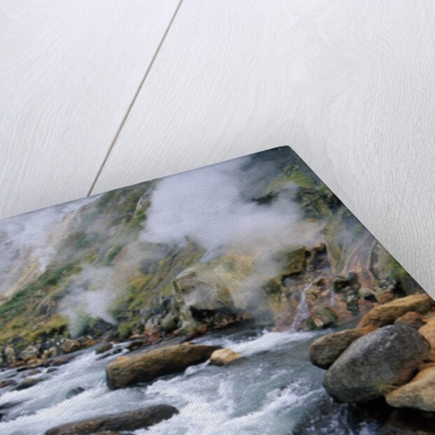 Stream in Valley of the Geysers by Anonymous
