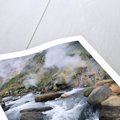 Stream in Valley of the Geysers by Anonymous