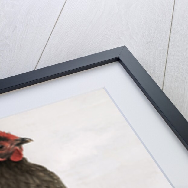 Orpington Blue Bantam by Anonymous