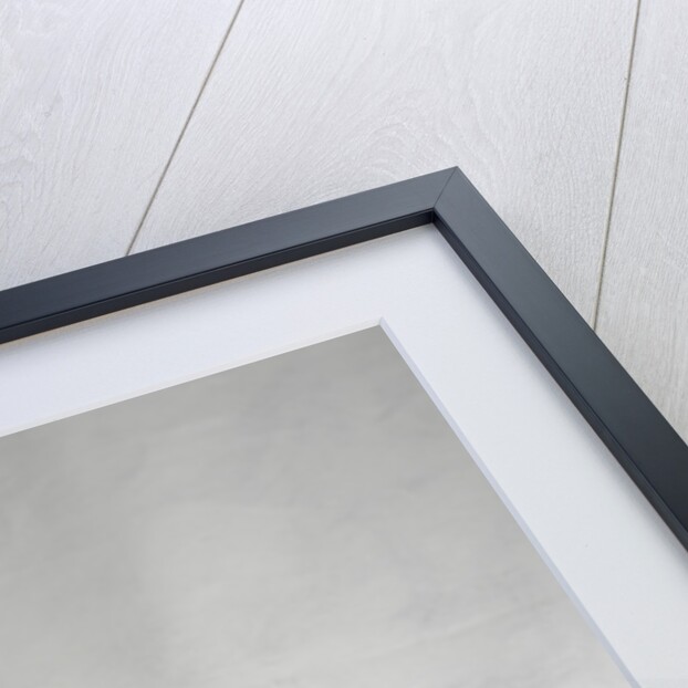 Large Hamburg Silver Spangled Cock by Anonymous