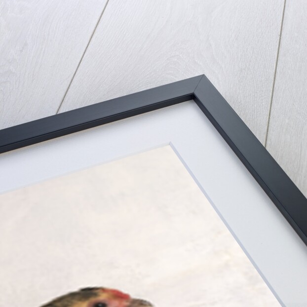 Belgian d'Anver Hen by Anonymous