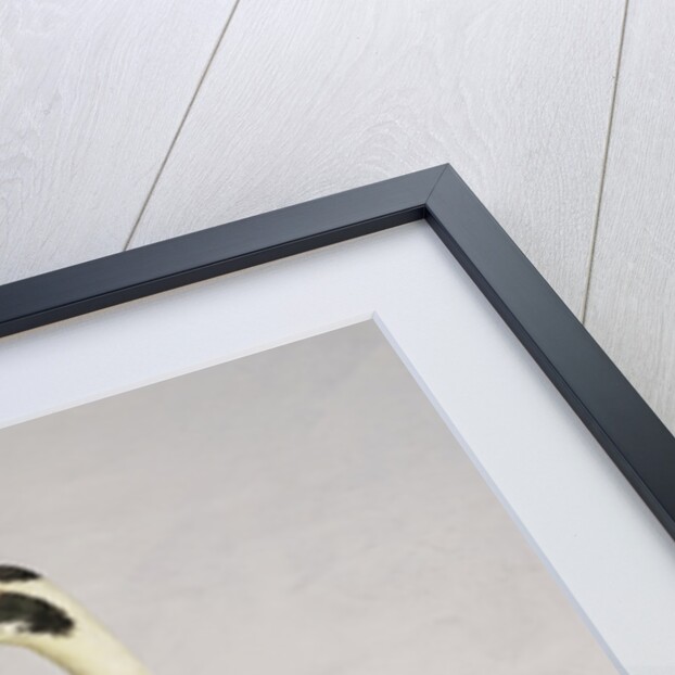 Indian Runner Duck by Anonymous