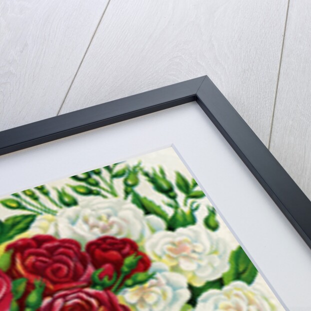 Illustration of Red, White and Yellow Rambling Roses by Anonymous
