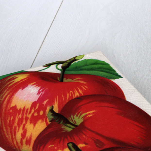 Illustration of Red Apples by Anonymous