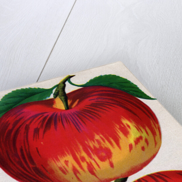 Illustration of Red and Yellow Apples by Anonymous